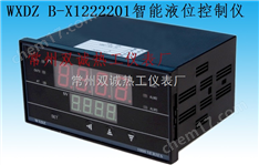 WXDZ B-X1222201智能数显液位仪