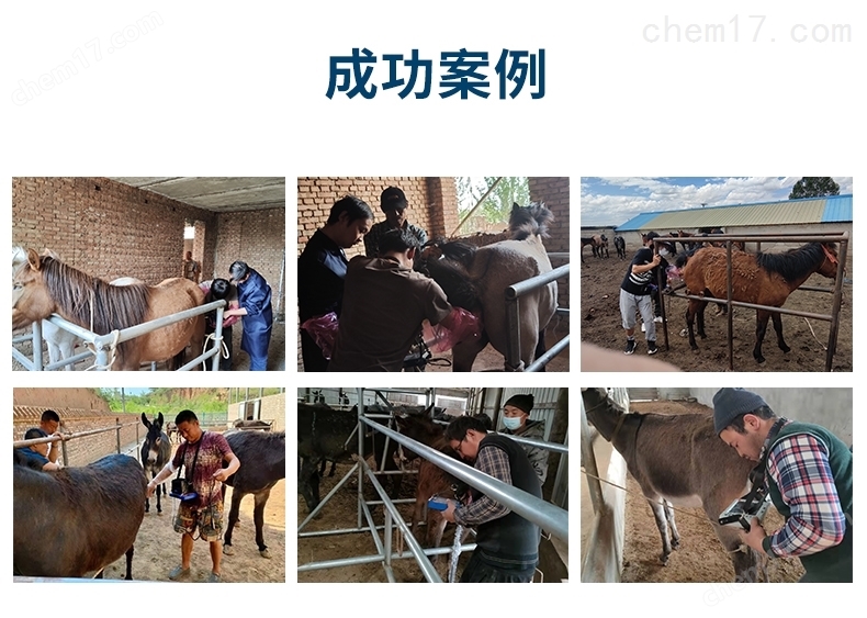 奶牛养殖场奶牛用B超机测孕仪价格
