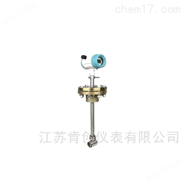 插入式涡街流量计