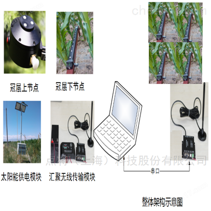 DJ-0375B叶面积指数仪