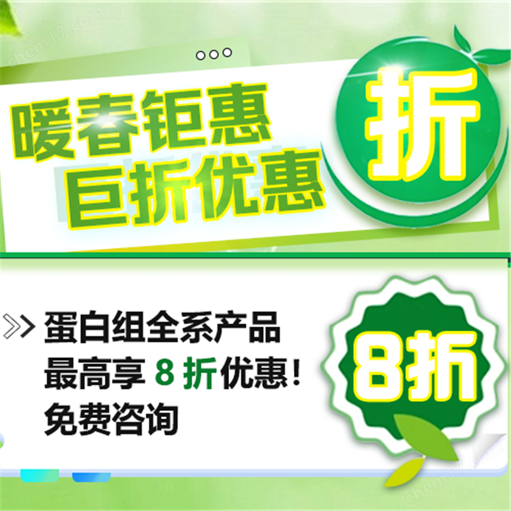 暖春特惠 八折优惠