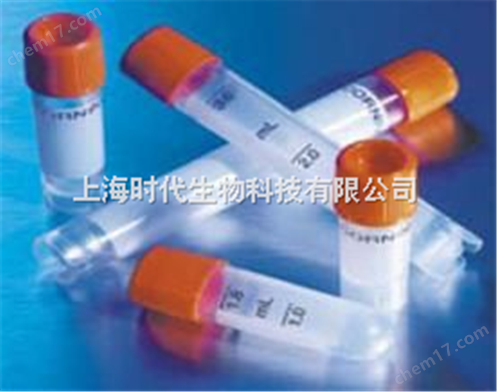 锌指蛋白300抗体价格