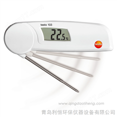 德国德图testo103温度计