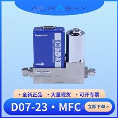 D07-23质量流量控制器/流量计