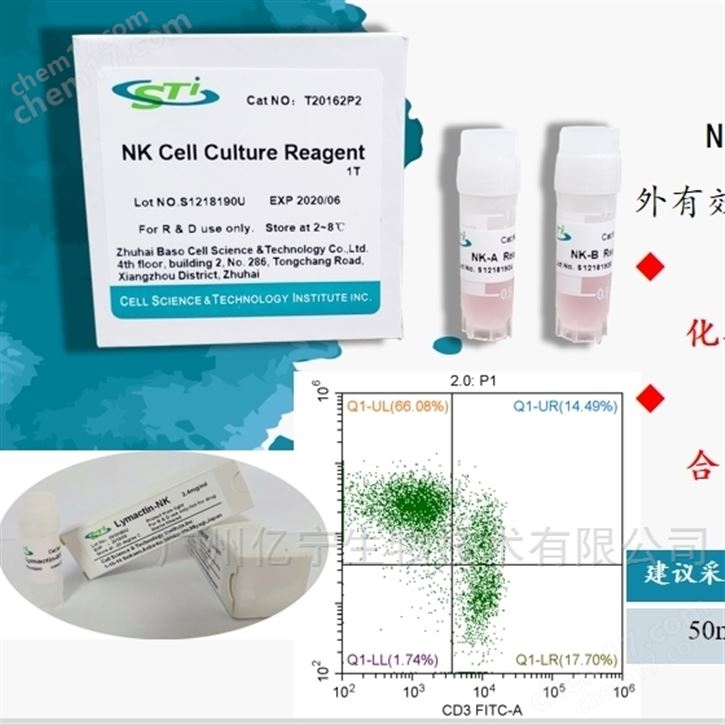6002T01 Lymactin-NK 抗体 CSTI