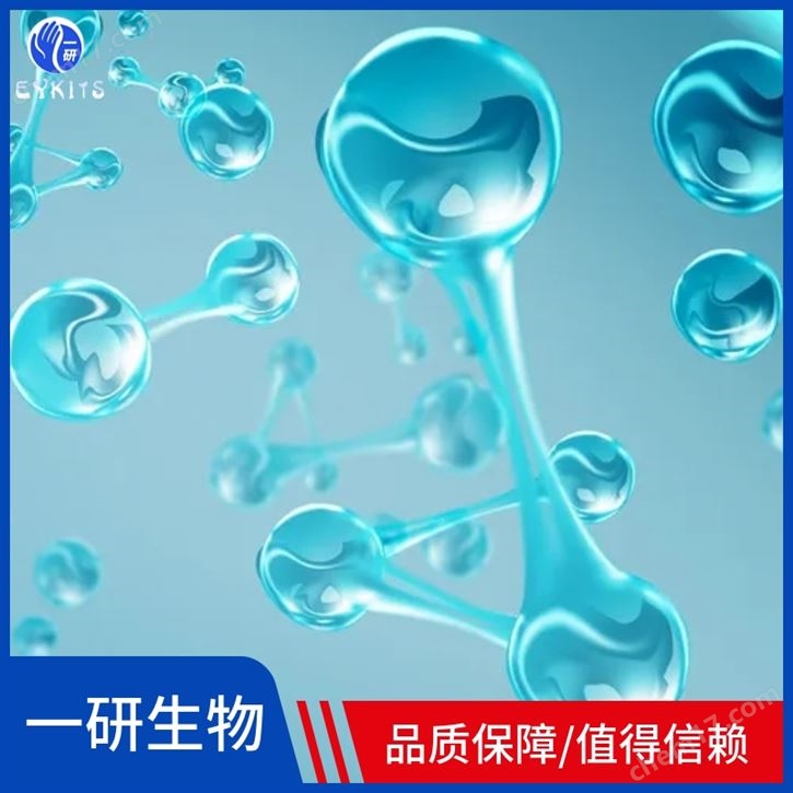 斑马鱼胚胎成纤维细胞pac2