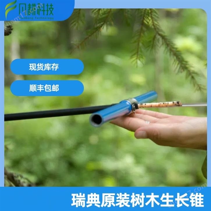 瑞典树木生长锥