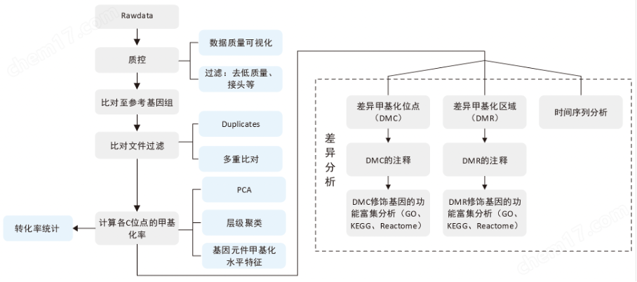 单细胞全基因组甲基化测序