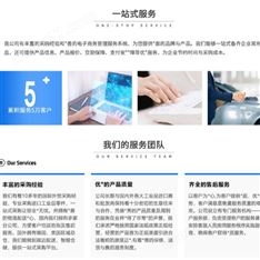 福禄克Fluke 绝缘电阻测试仪 LB