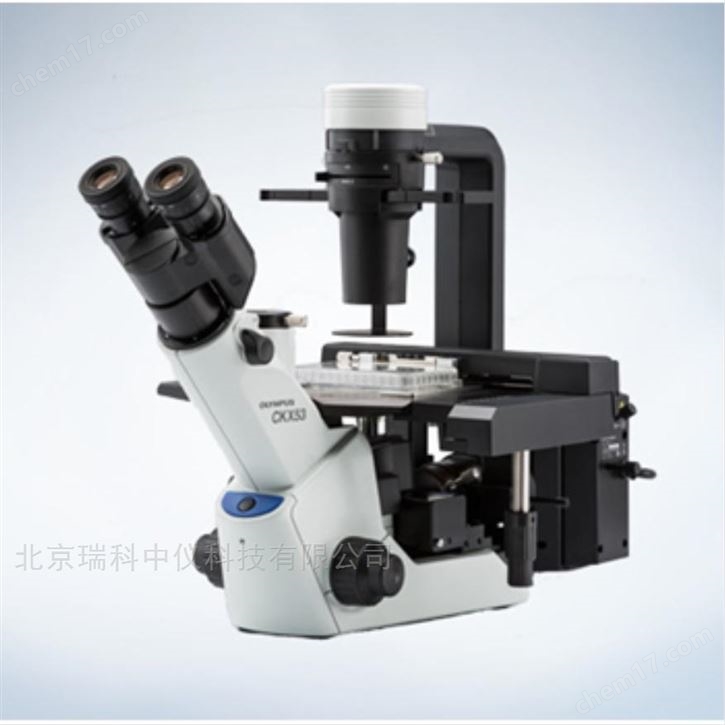 奥林巴斯倒置显微镜 CKX53