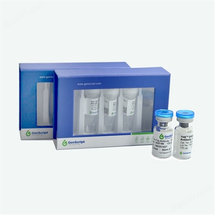 THE™ His Tag Antibody, mAb, Mouse