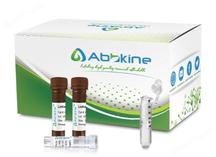 LinKine™ AbFluor™ 680偶联试剂盒（尤其适合分子量6-20 KD样本）