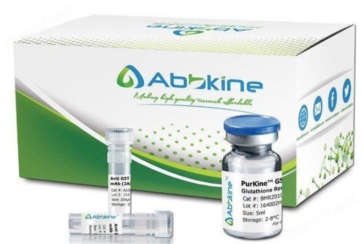 PurKine™ 蛋白A/G树脂（4%交联）