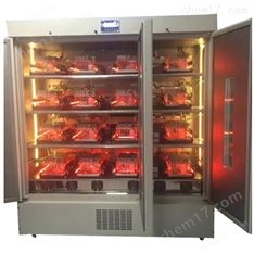 养老鼠培养箱