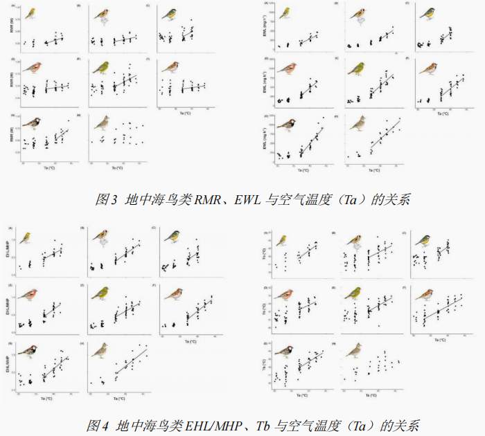 精品视频一区二区三区 鸟类能量代谢生理生态研究案例分享