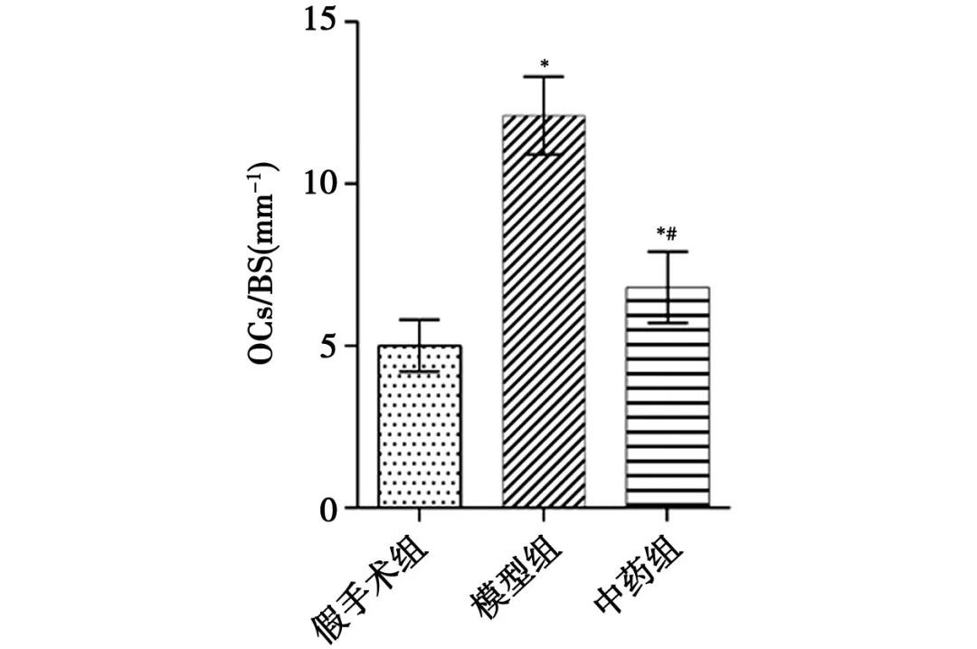 客户成果分享 | 利用Micro-CT检测小鼠样本骨组织形态