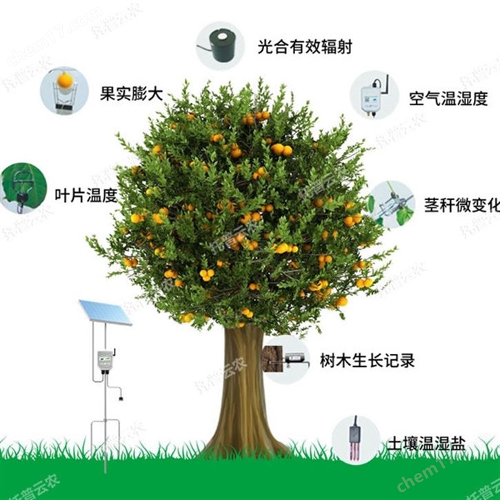 植物生理生态监测系统