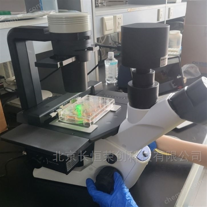 奥林巴斯CKX53倒置荧光显微镜细胞观察