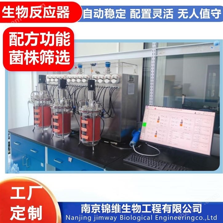 四联发酵罐 微生物培养 大肠杆菌 酶 酵母