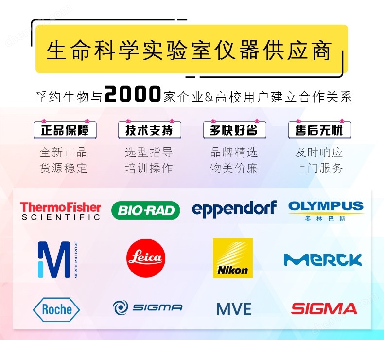 Bio-Rad伯乐小型垂直电泳槽1658033 广西