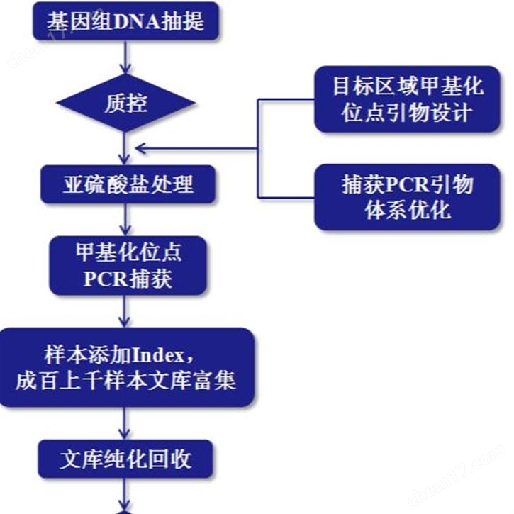 目标区间重测序