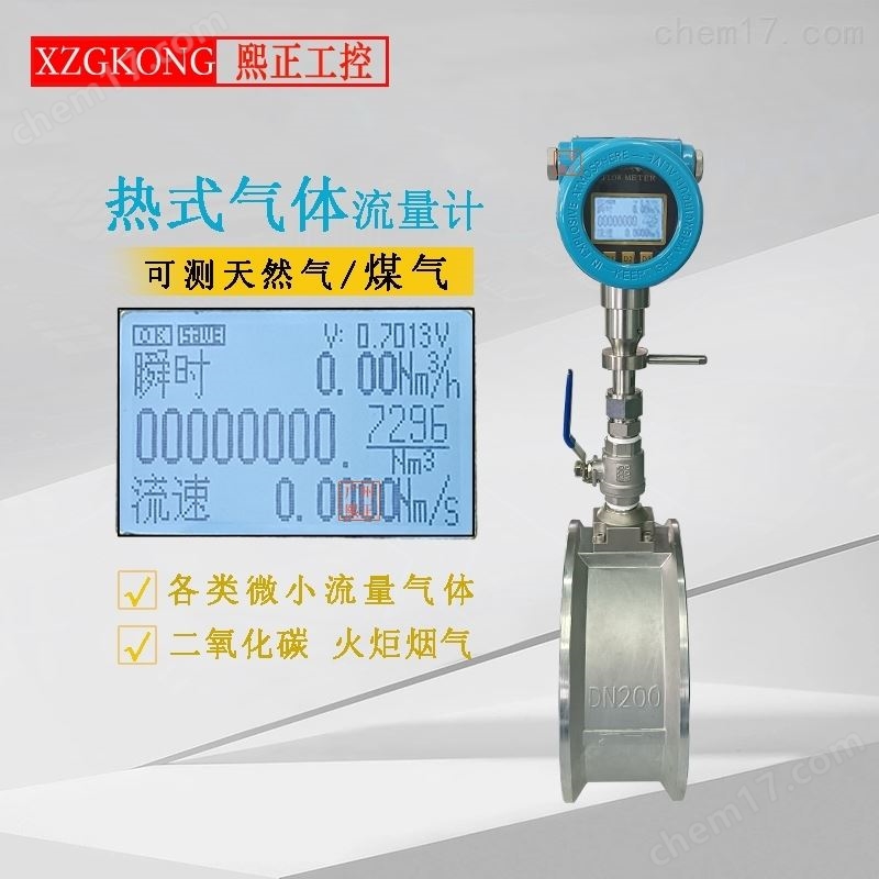 热式气体质量流量计分体不锈钢高精度
