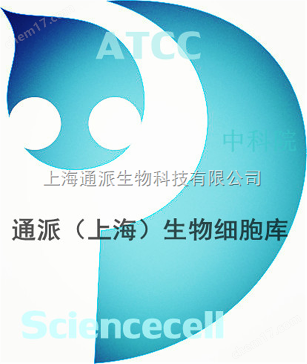 人主动脉平滑肌细胞HA-VSMC细胞
