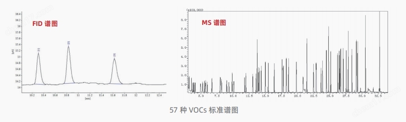 环境空气挥发性有机物在线自动监测系统