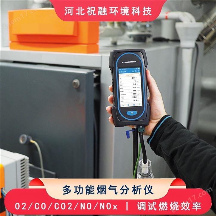 智能型烟气分析仪 新一代多功能烟气测试仪