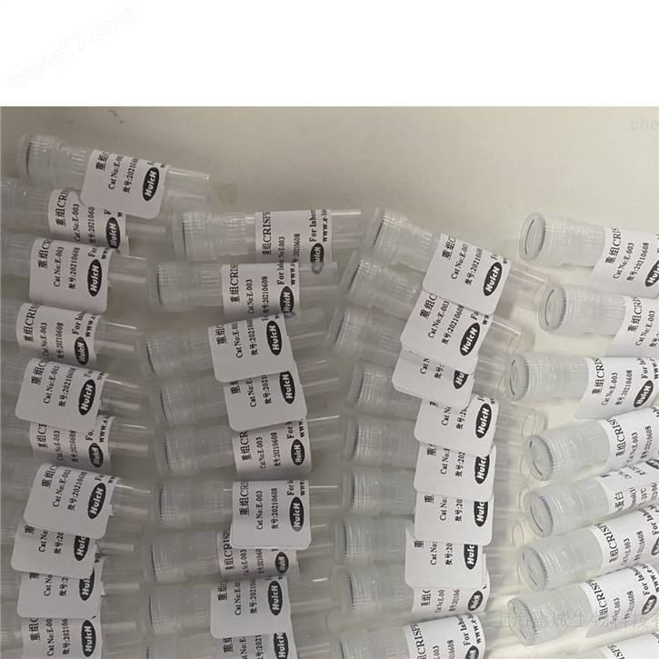 重组人白血病抑制因子rhLIF
