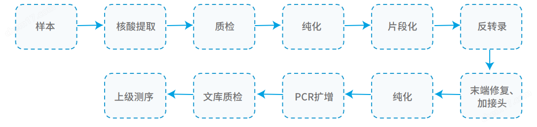 智能NGS二代测序和文库构建自动化系统
