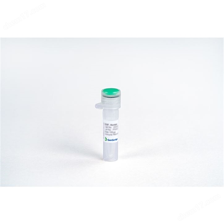 FGF-basic (145aa), Human