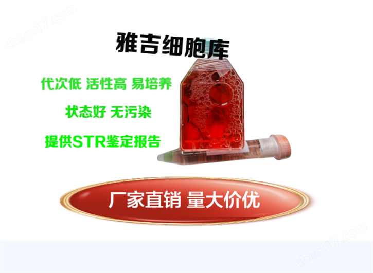 人非小细胞肺腺癌细胞NCI-H2087ATCC