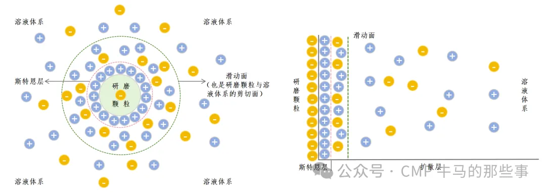 精品啪啪一级免费视频 Zeta 电位在CMP中的应用