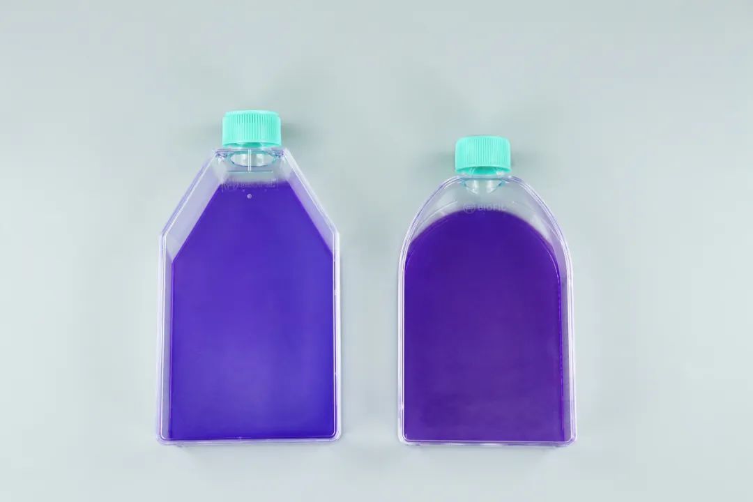 精品视频一区二区三区 新品上线 | 洁特生物T150U形细胞培养瓶闪耀来袭!